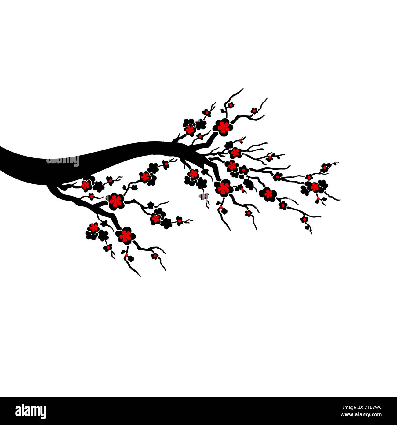 Cherry Blossoms Tree isolated on white background Stock Photo - Alamy