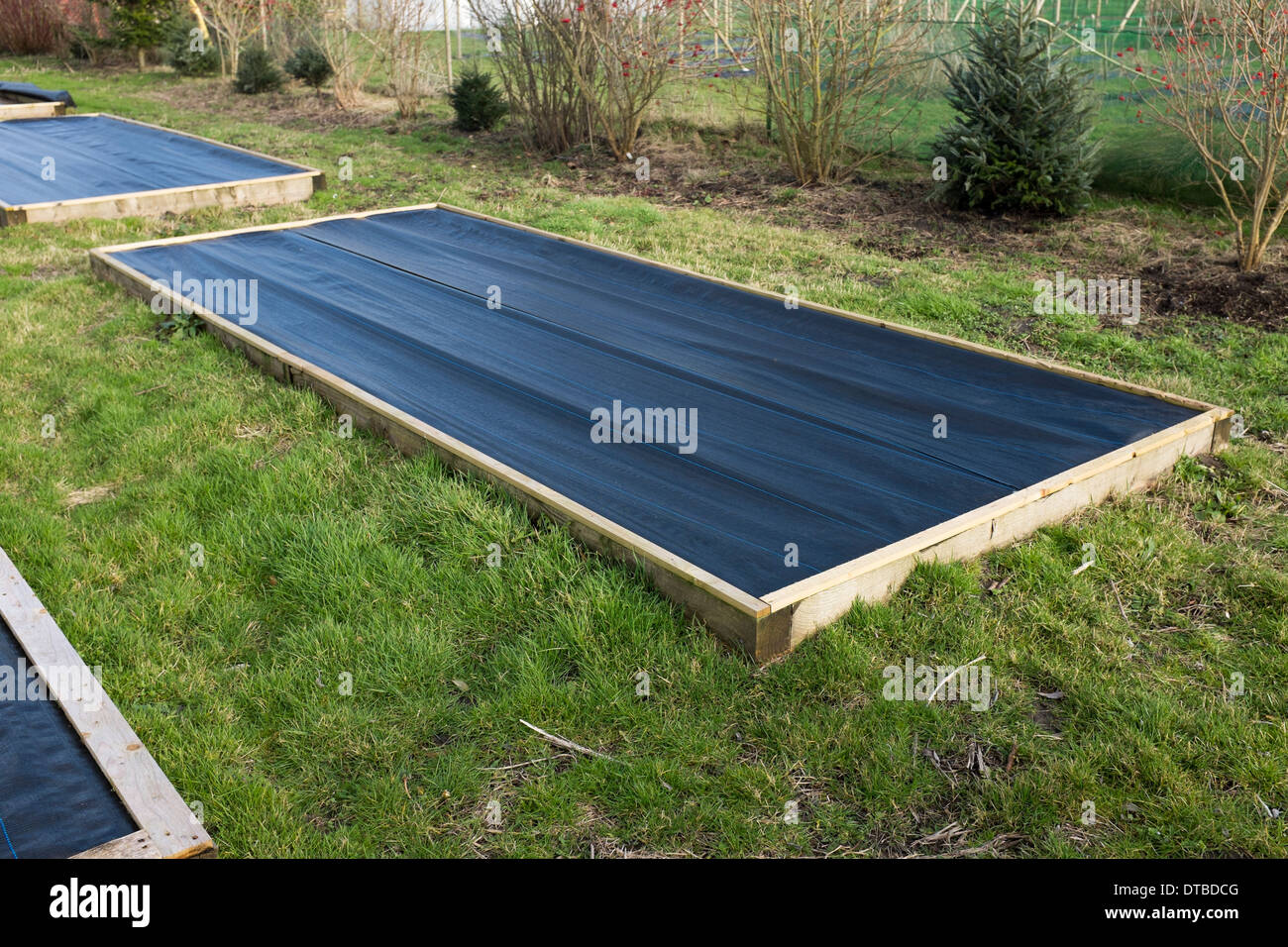 Raised Beds covered with plastic sheets in winter Stock Photo
