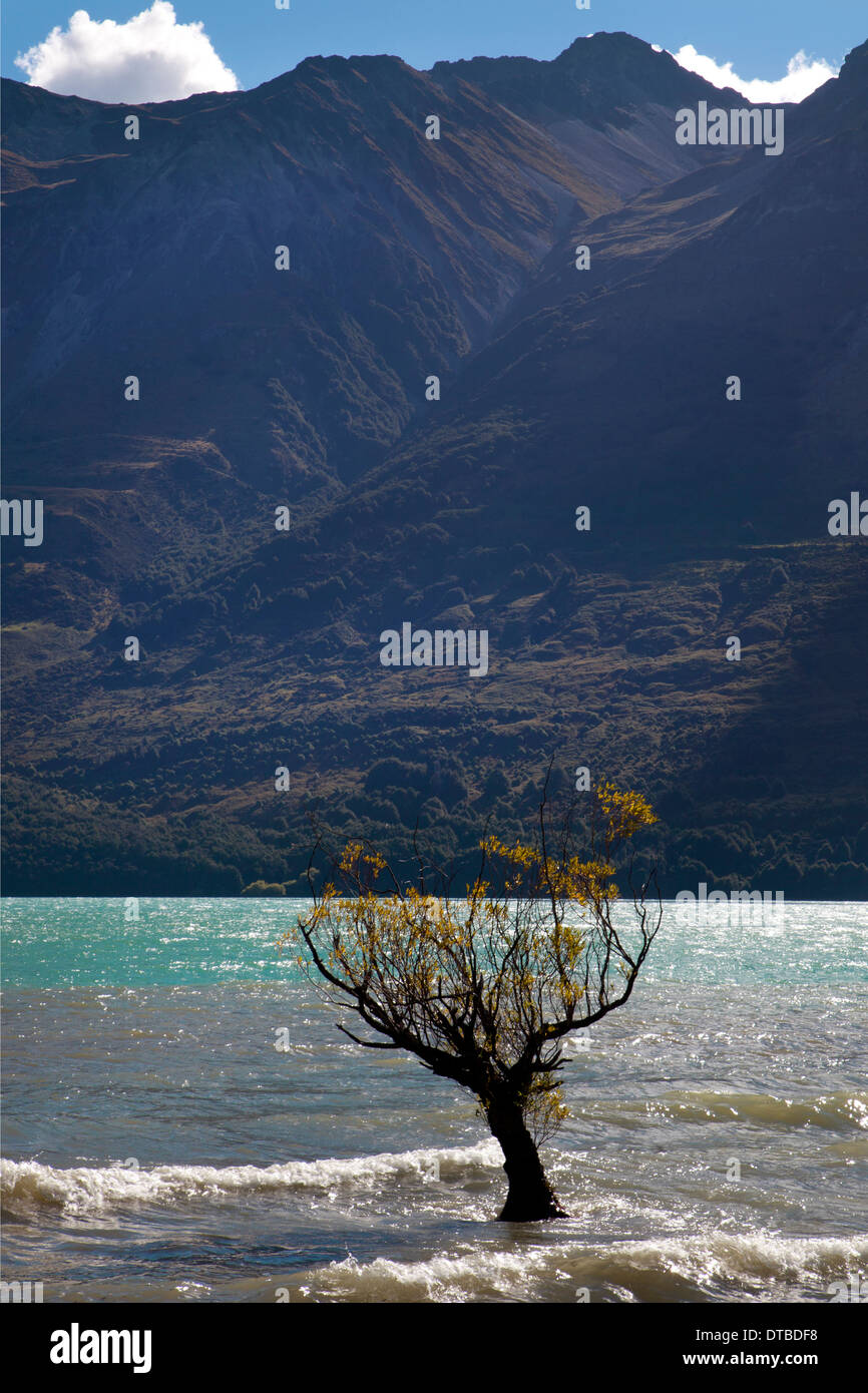 Lake wakatipu at Glenorchy, South Island, New Zealand Stock Photo - Alamy