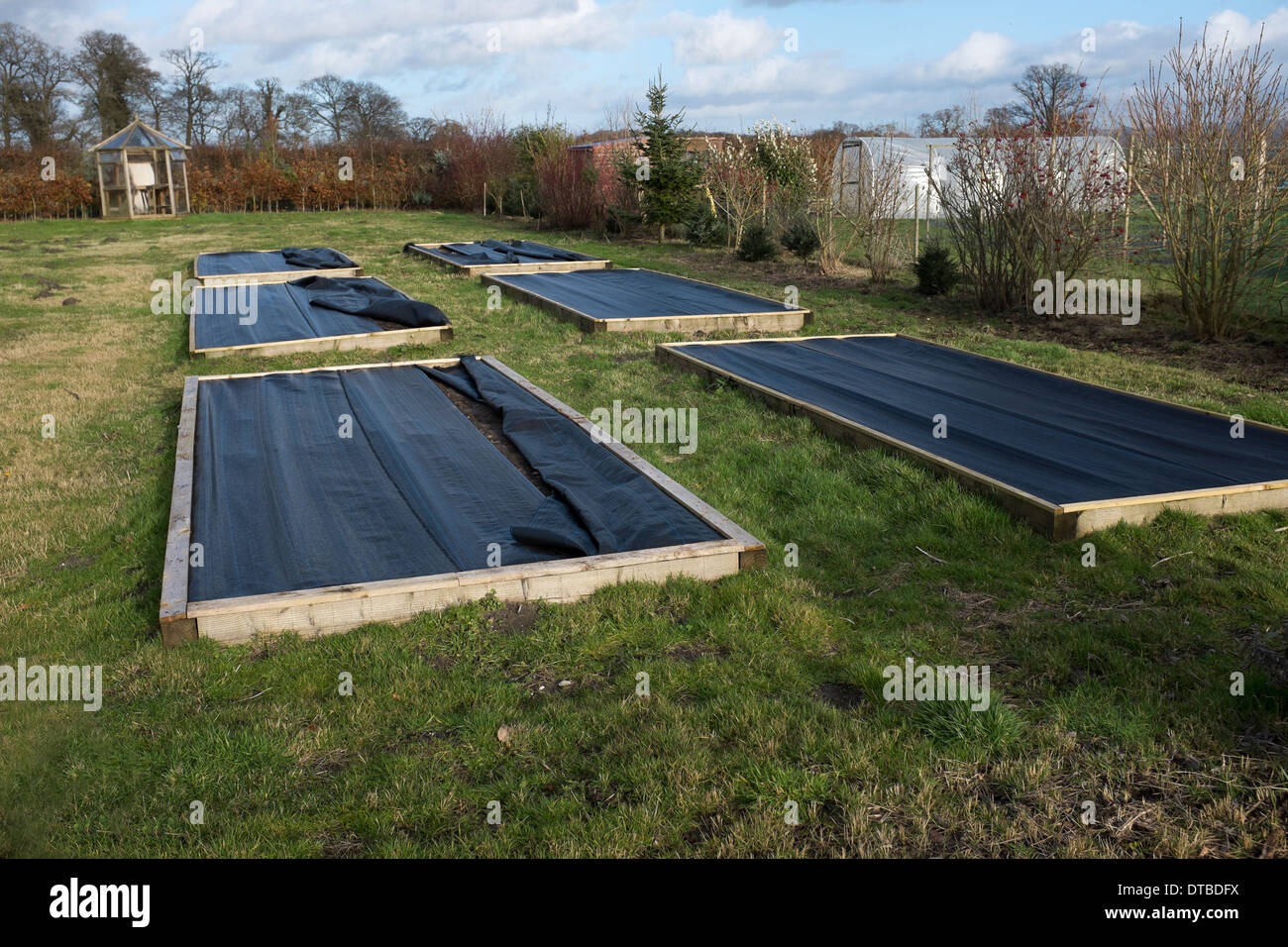 Raised Beds covered with plastic sheets in winter Stock Photo Alamy