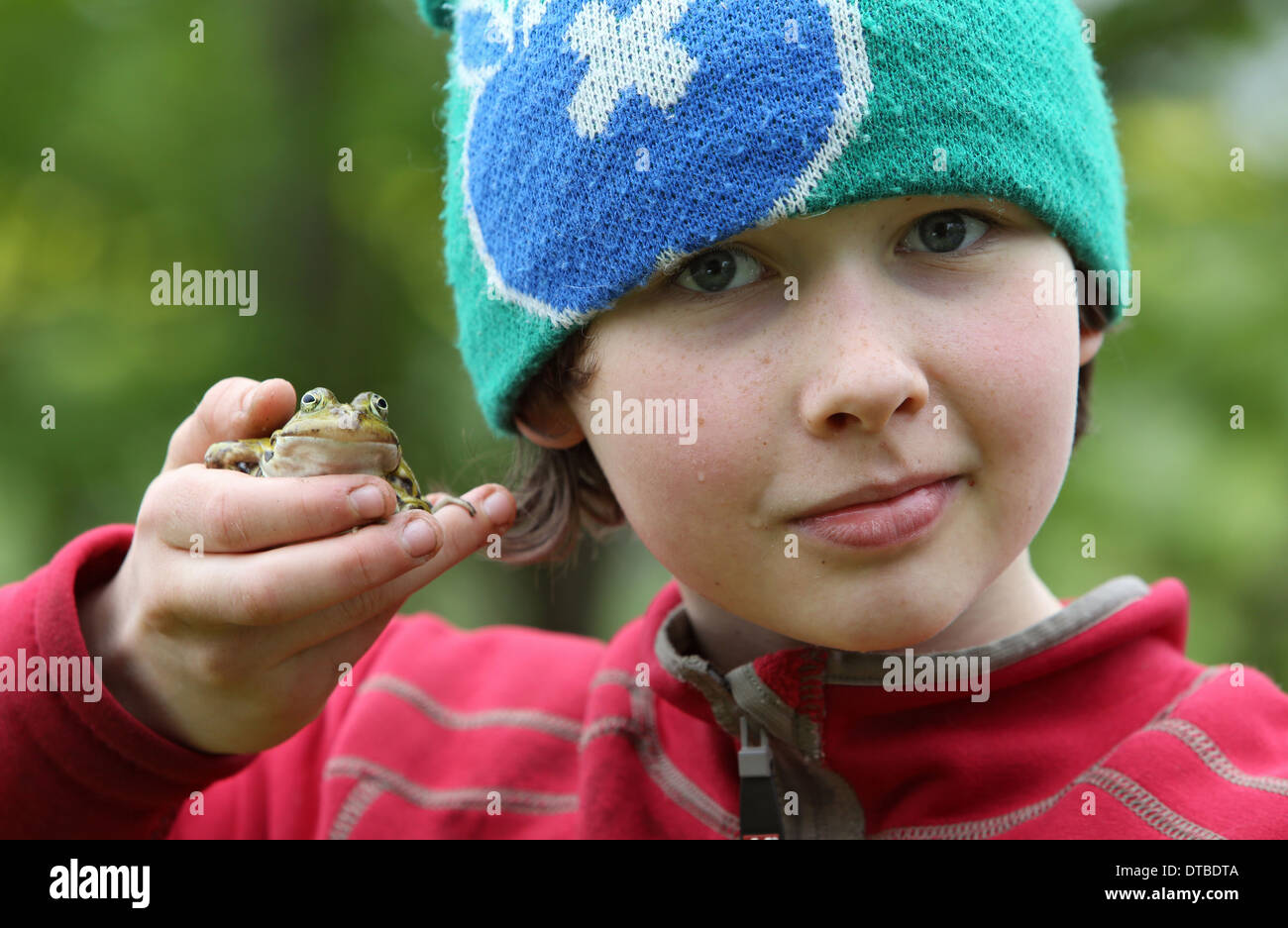 New Kätwin , Germany , boy holds a pond frog in a hand Stock Photo