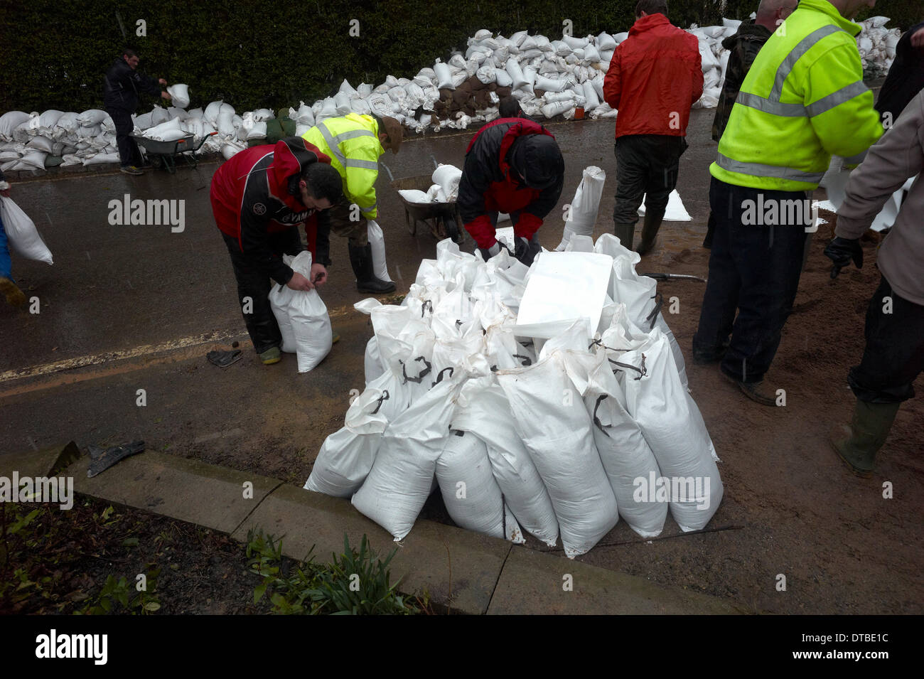 Burrowbridge, UK. 13th Feb, 2014. Volunteers fill sandbags in advance of an expected new surge in water at Burrowbridge Somerset levels   Credit Paul Glendell/Alamy Live News Stock Photo