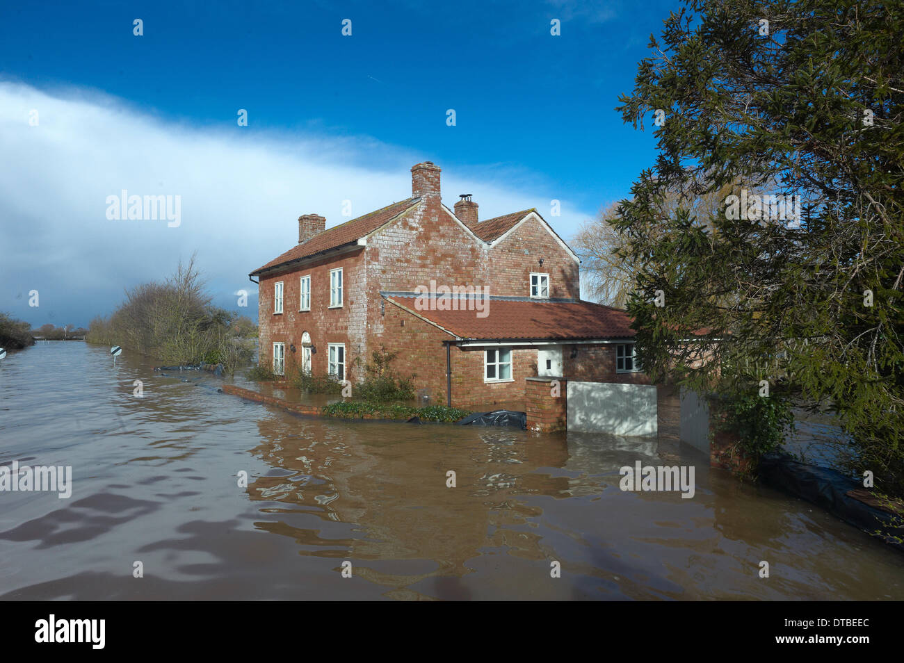 Burrowbridge, UK. 13th Feb, 2014. Flooded house in Burrowbridge Somerset Levels  Credit Paul Glendell/Alamy Live News Stock Photo