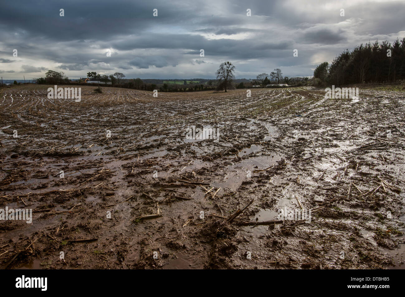 Saturated field in Gloucestershire England February 2014 after wettest winter on record Stock Photo