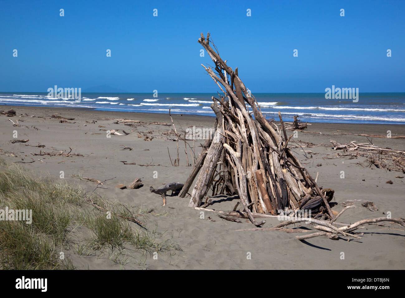 Driftwood on Otaki Beach, west coast, North Island, New Zealand Stock Photo