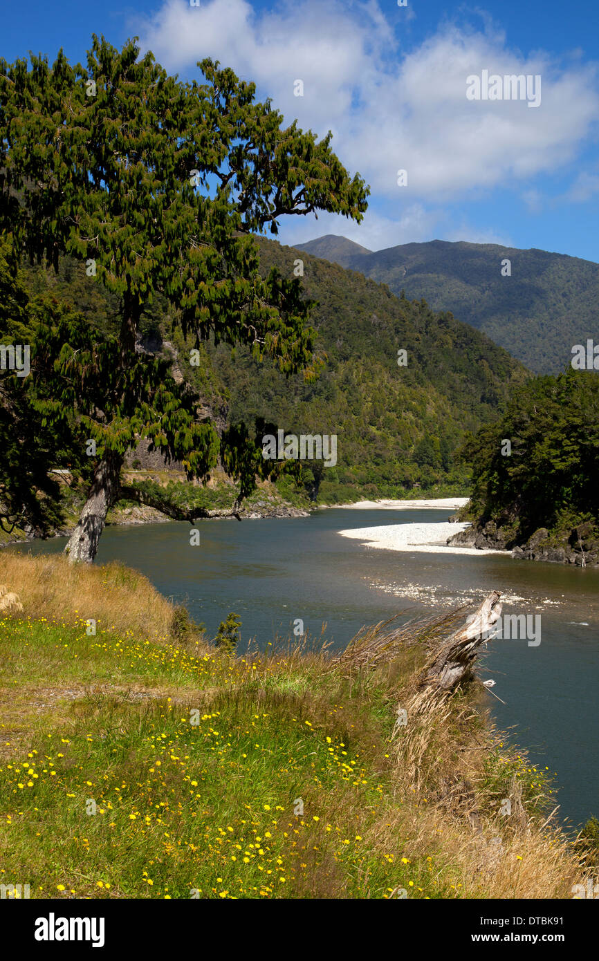 Buller river near westport, West coast, South island, New Zealand Stock Photo