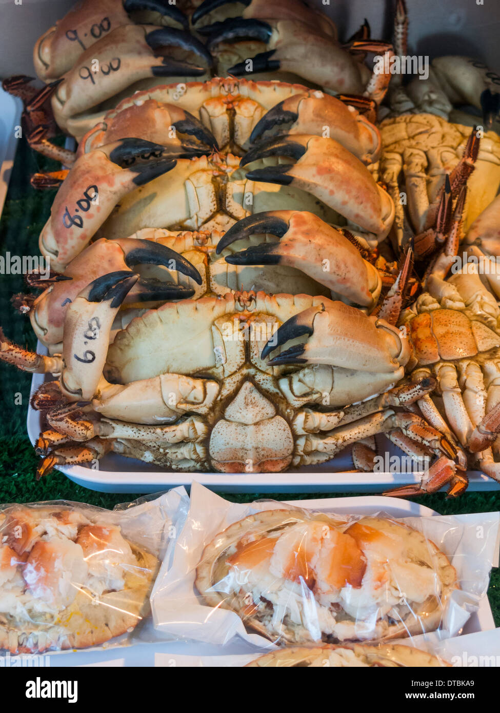 Dressed and fresh crabs for sale in shop window in Cromer Norfolk