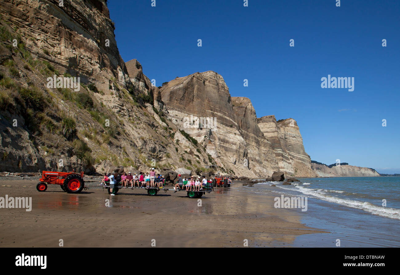 Tractor taking tourists to Cape kidnappers and Gannet Colony, Hawke bay near Hastings, North Island, New Zealand Stock Photo