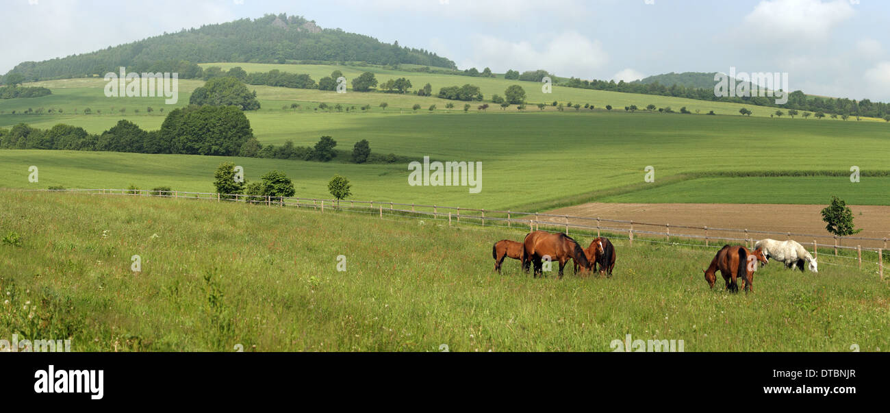 Spitzberg hi-res stock photography and images - Alamy