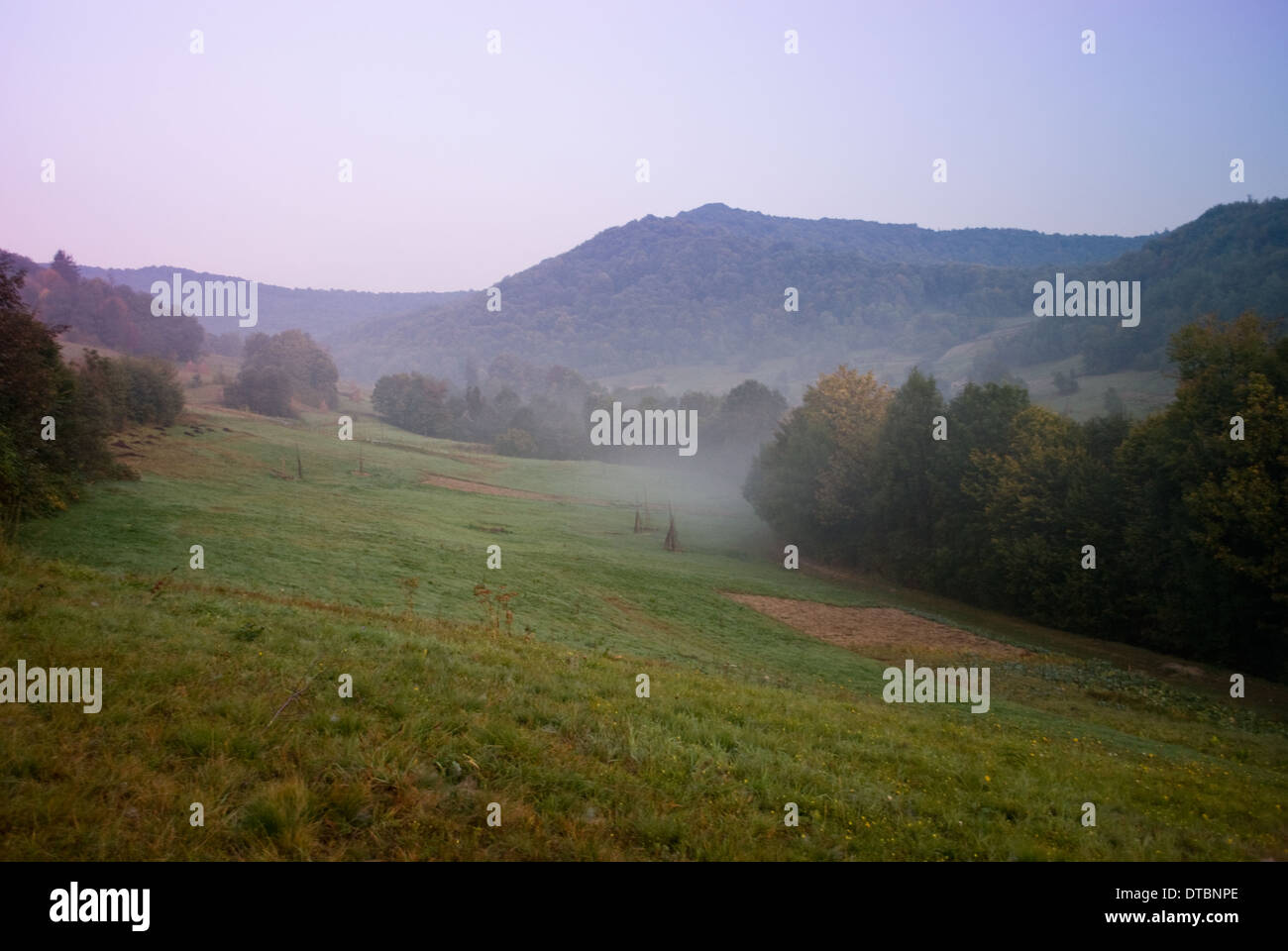 Morning in beautiful Carpatian mountains Stock Photo - Alamy