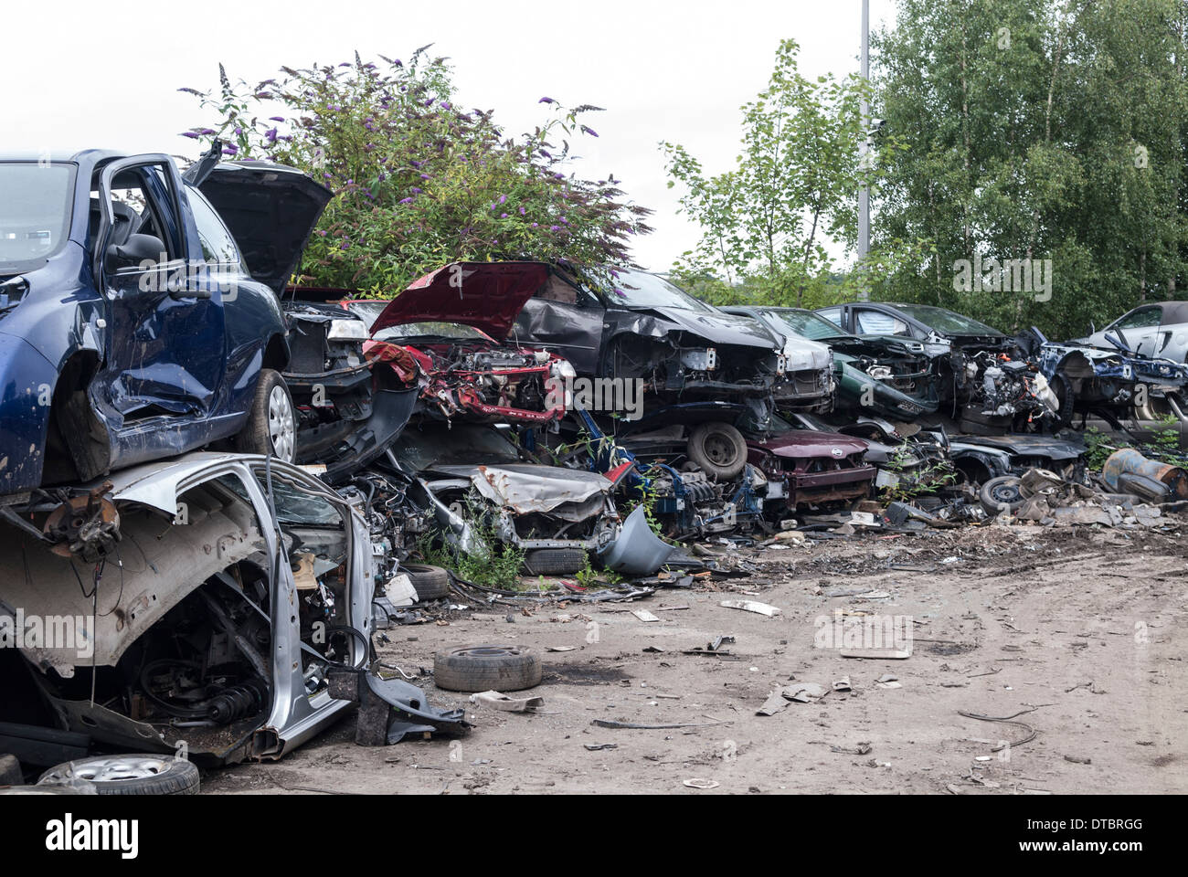Crushed cars in scrap yard UK Stock Photo