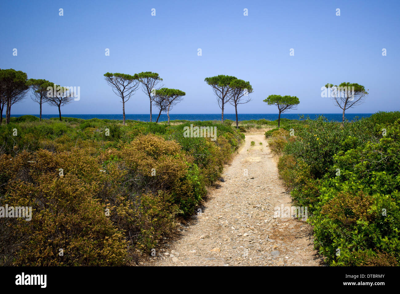 View towards the sea and pine trees with hiking trail in Sardinia Stock Photo