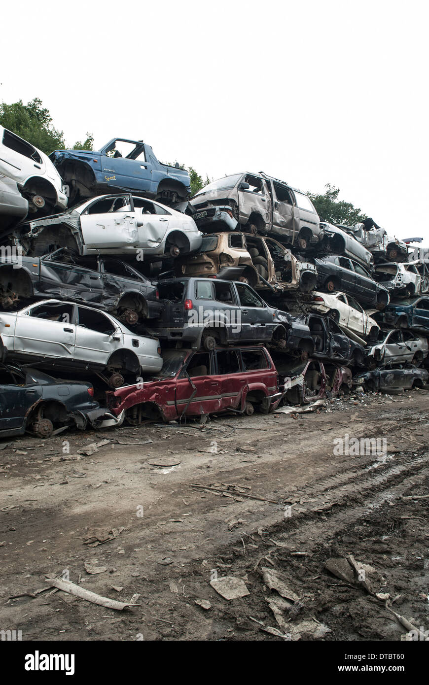 Crushed cars in scrap yard UK Stock Photo Alamy