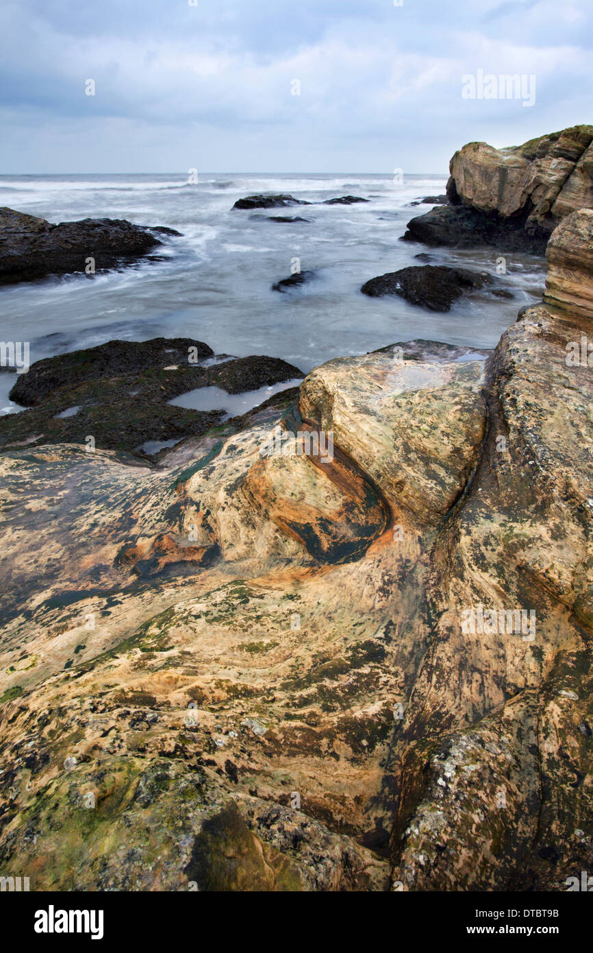 Colourful Rocks at Doo Craigs St Andrews Fife Scotland Stock Photo - Alamy