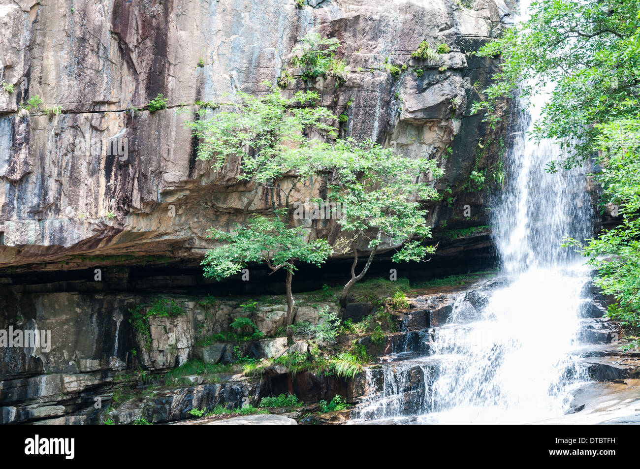 Waterfall in a jungle setting. Stock Photo