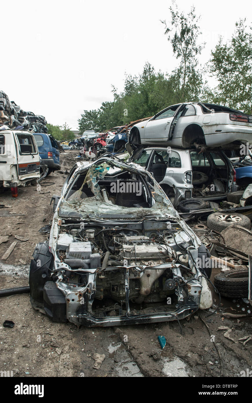 Crushed cars in scrap yard UK Stock Photo Alamy