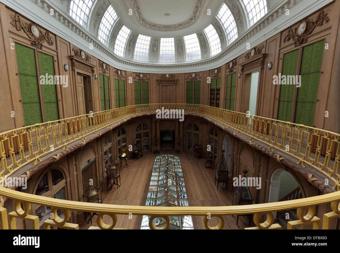 View from the first floor into the Oval room of Teylers Museum, Haarlem, North Holland, The Netherlands. Stock Photo