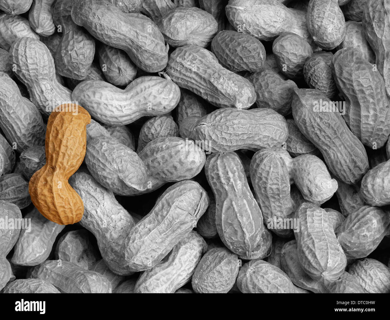 Peanut special hires stock photography and images Alamy