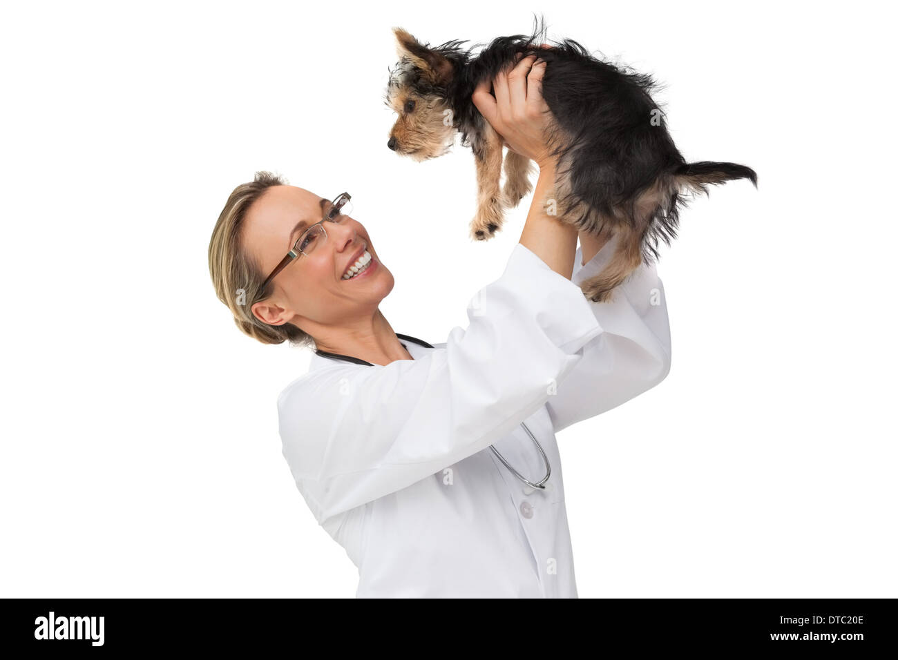 Vet lifting up yorkshire terrier and smiling Stock Photo