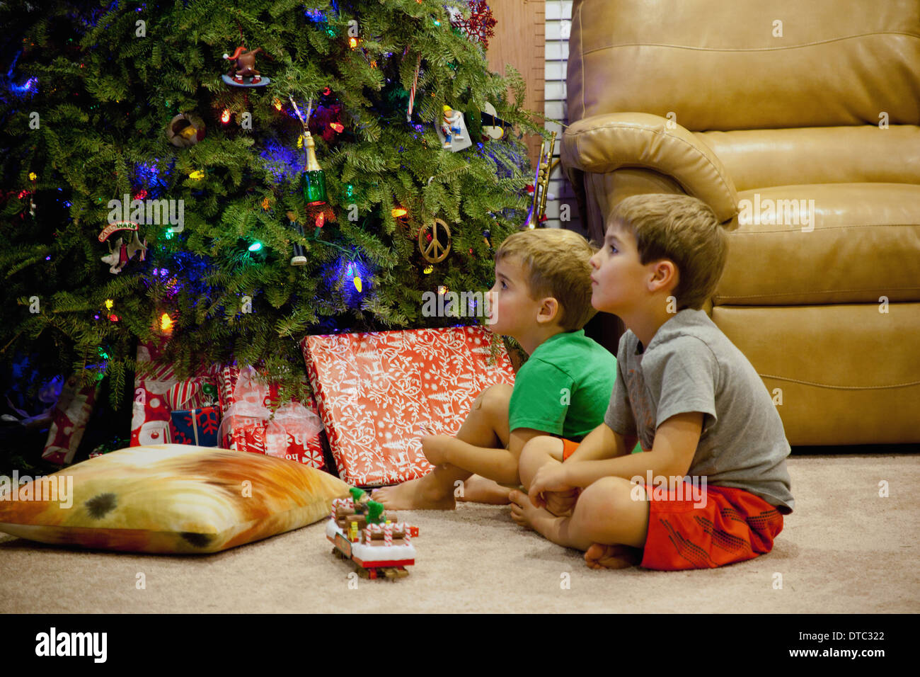 Two engrossed young brothers sitting next to xmas tree Stock Photo Alamy