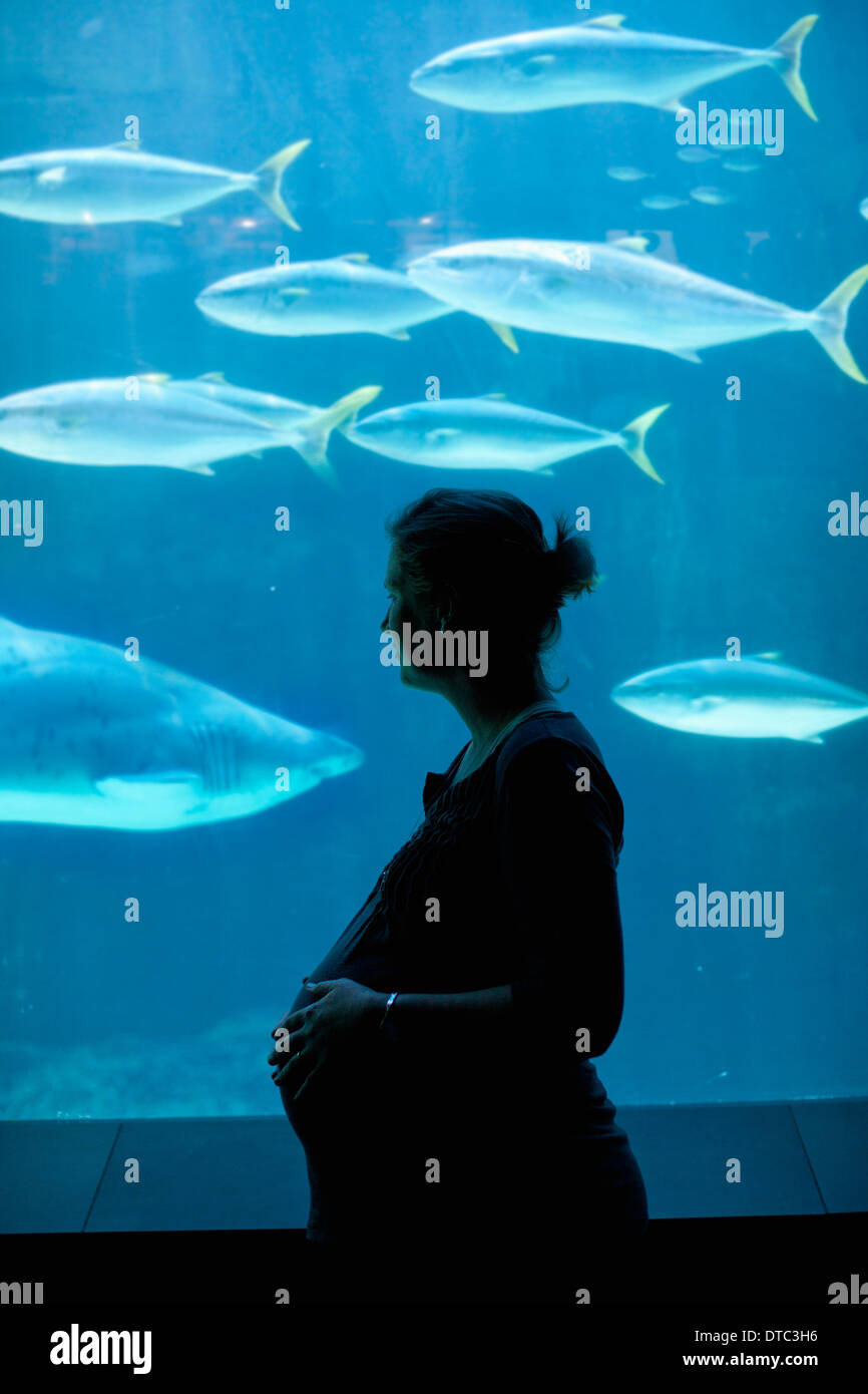Pregnant woman underwater in swimming hires stock photography and