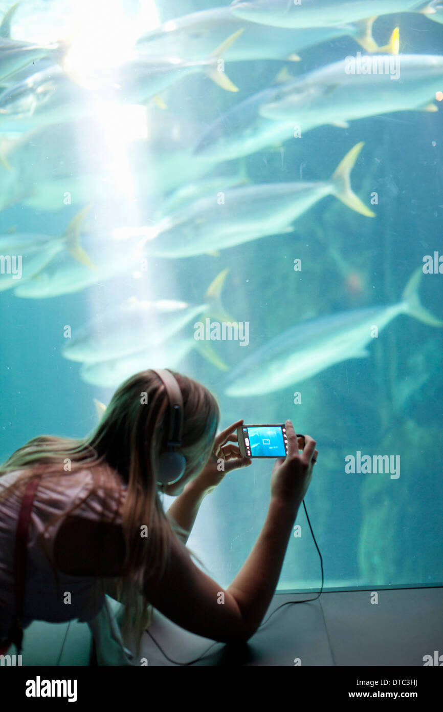 Young woman photographing fish on smartphone in aquarium Stock Photo