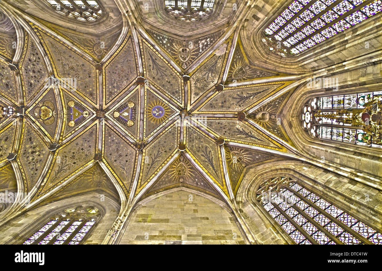 BRATISLAVA, SLOVAKIA - FEBRUARY 11, 2014: Ceiling of presbytery in st. Martin cathedral from 15. cent. Stock Photo