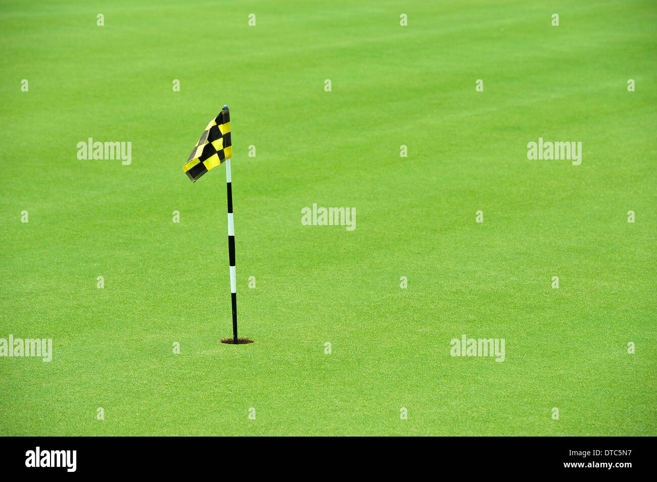 Practice Golf Putting Hole Stock Photo Alamy