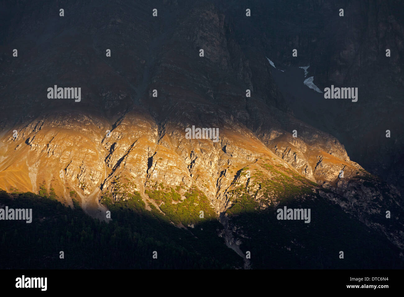 Sunlit rock face showing coniferous tree line / timberline at Val Mingèr at Graubünden / Grisons in the Swiss Alps, Switzerland Stock Photo