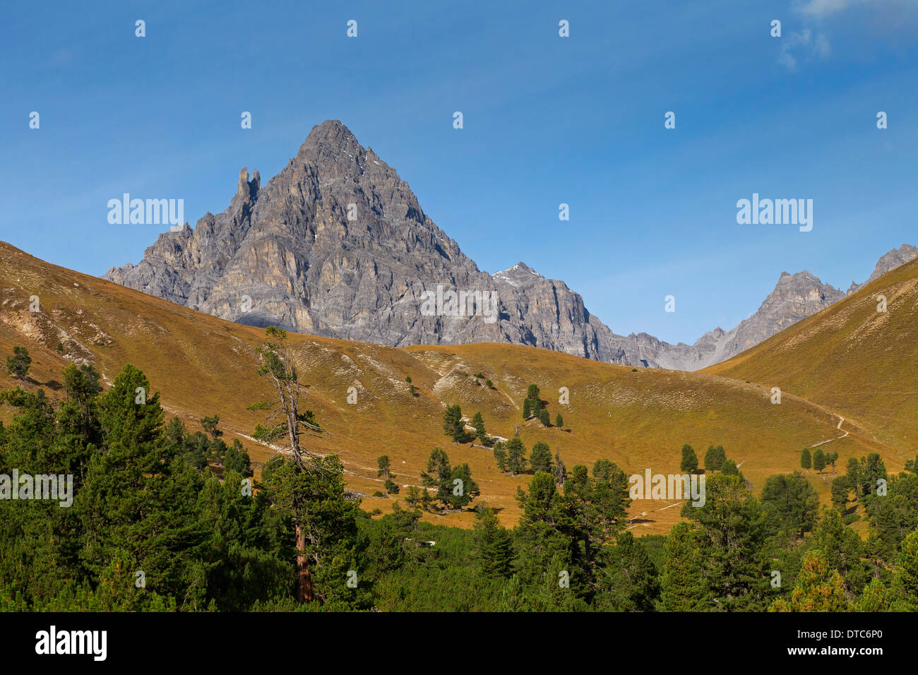 Mount Piz Plavna Dadaint at Val Mingèr, Swiss National Park at Graubünden / Grisons in the Alps, Switzerland Stock Photo
