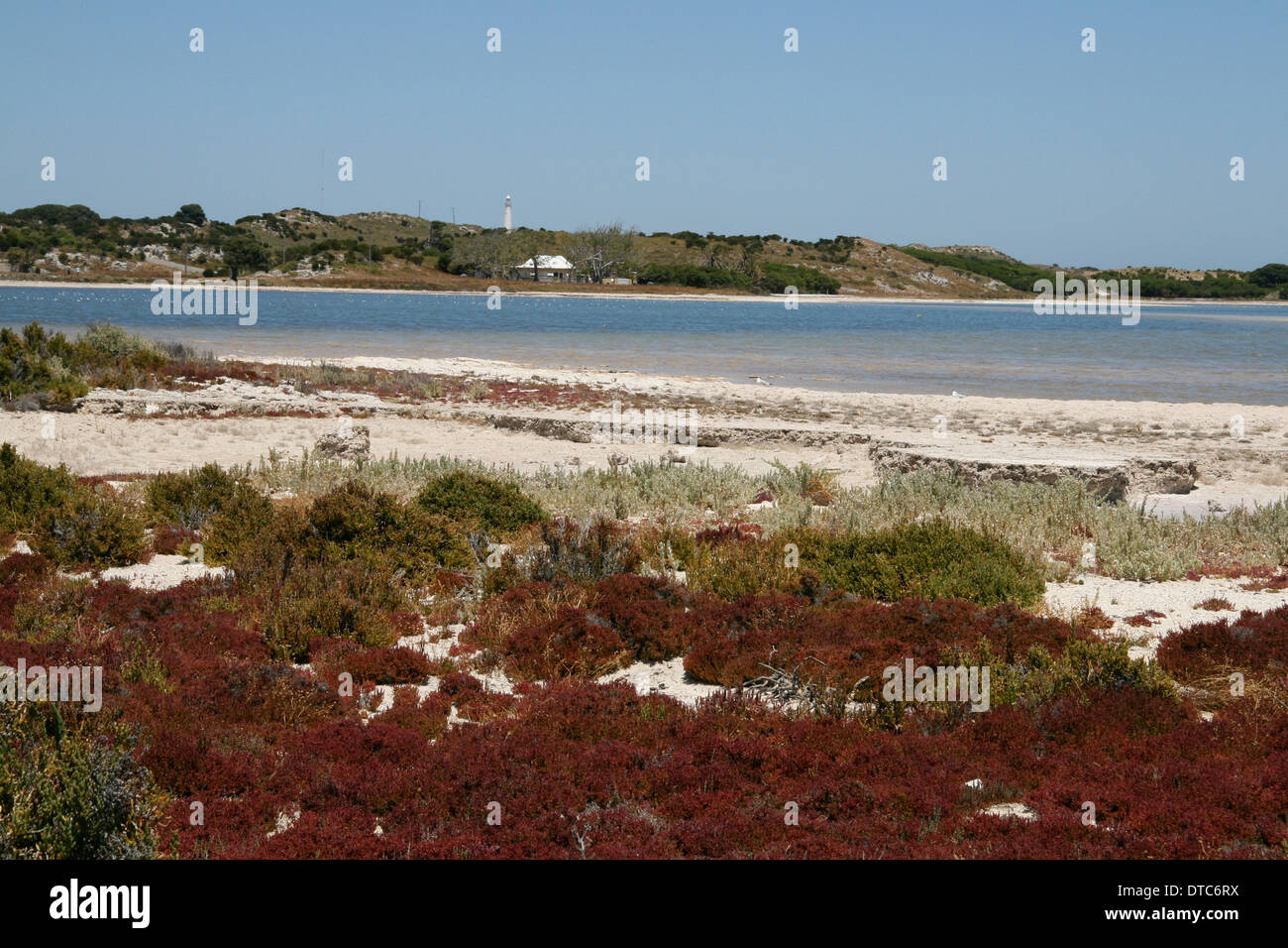 Cycling rottnest island hi-res stock photography and images - Alamy