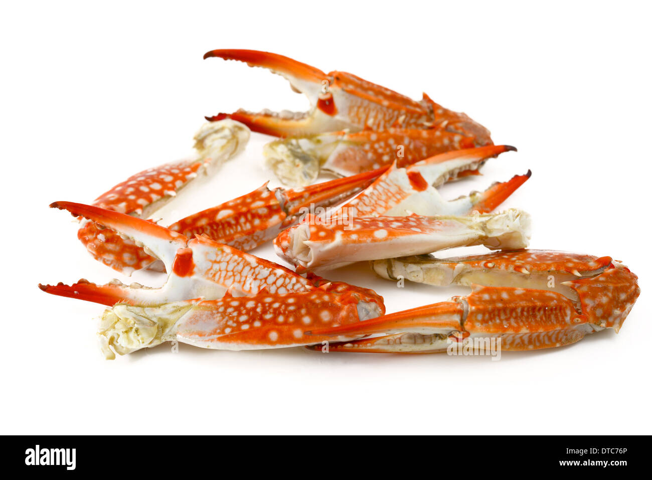Steamed Crab Leg Stock Photo