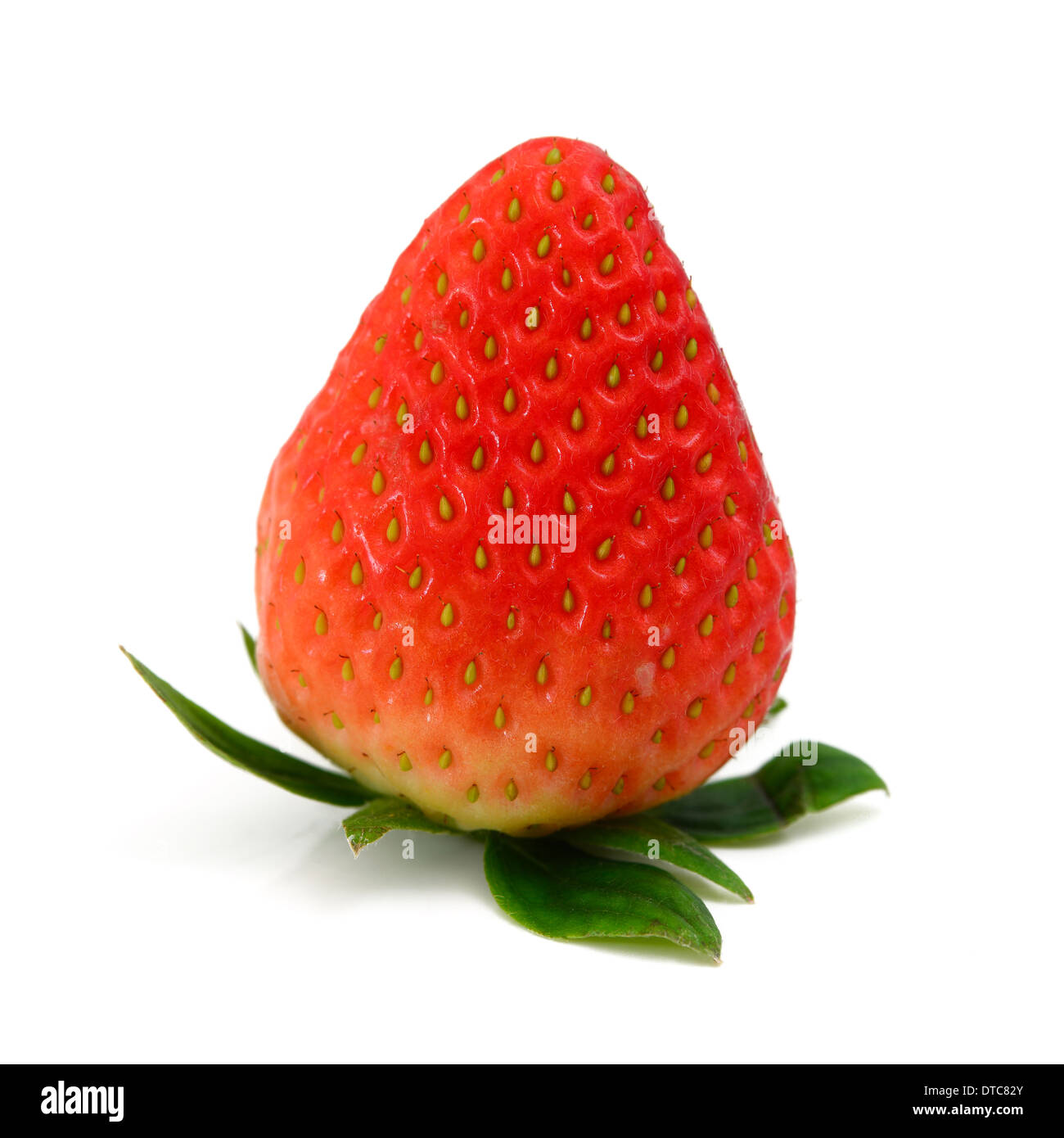 Red strawberry leaf hi-res stock photography and images - Alamy