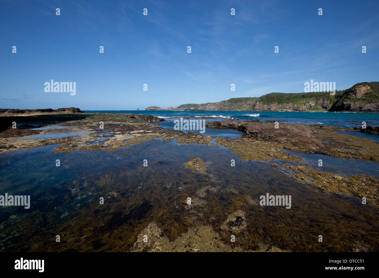 Rockpools at Bushrangers Bay near Cape Schanck, Victoria, Australia