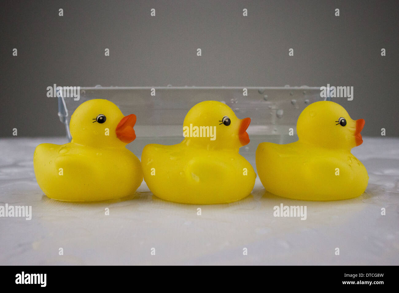 ducks in a row Stock Photo