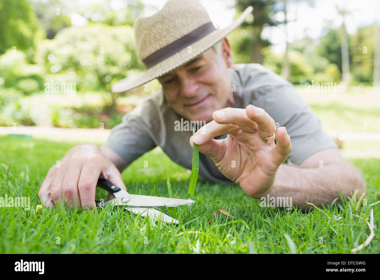 Man cutting grass with scissors Stock Photo Alamy