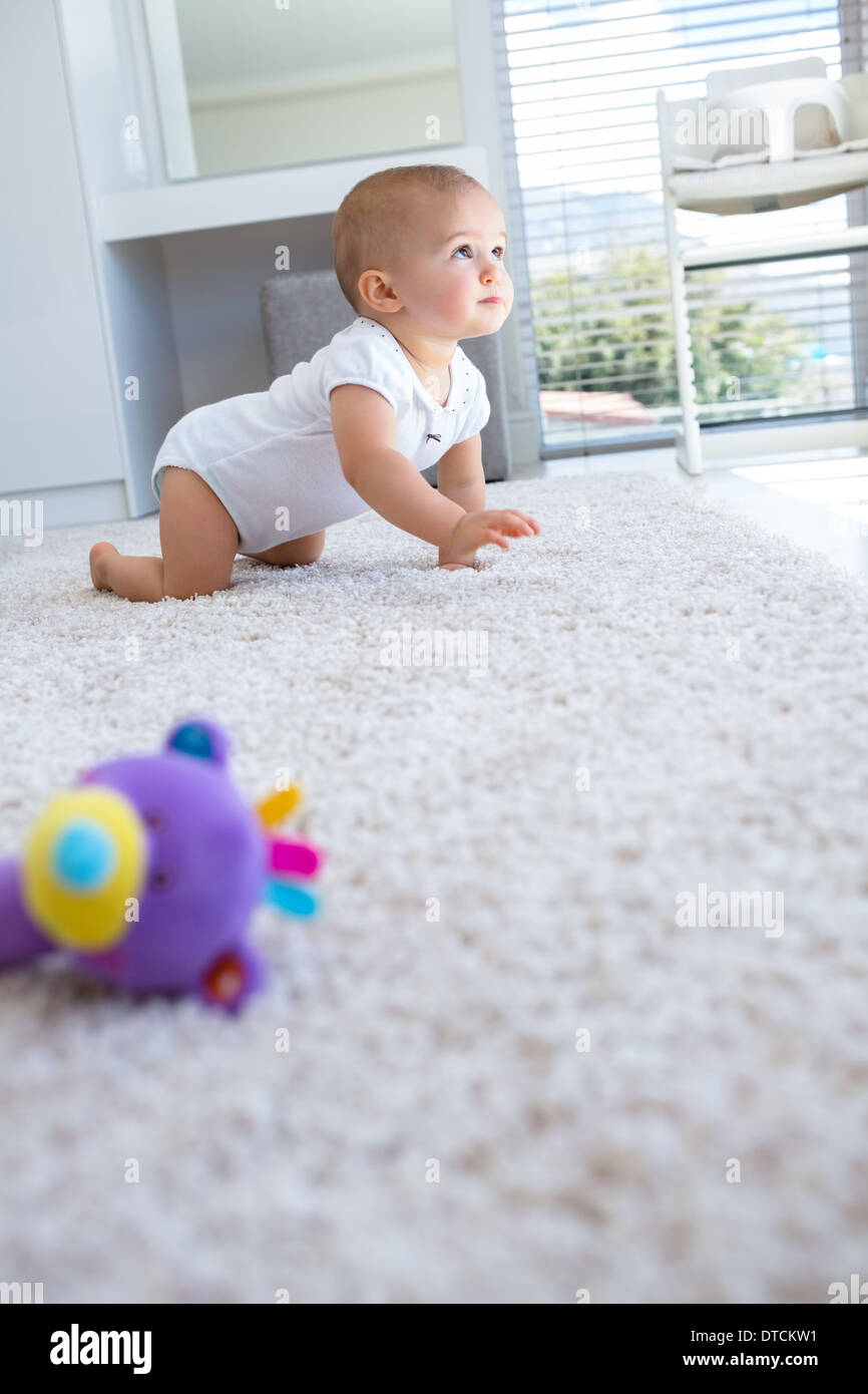 Side view of a baby crawling on carpet Stock Photo