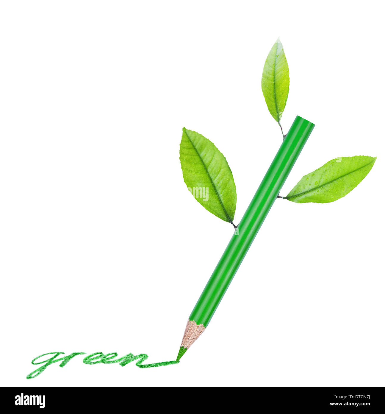 Green pencil with green leaves isolated on a white background Stock Photo