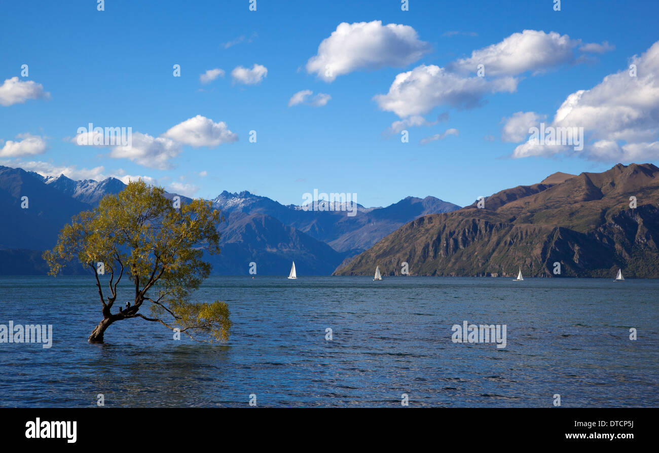 Sailing boats on Lake Wanaka, Wanaka, South Island, New Zealand Stock Photo