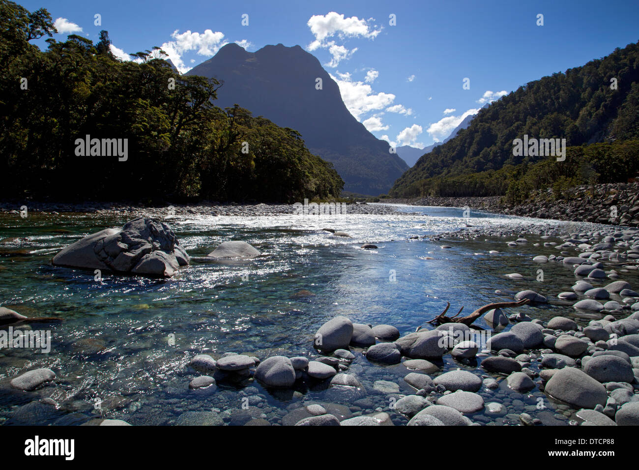 River leading to Milford Sound, Fiordland, South Island, New Zealand Stock Photo