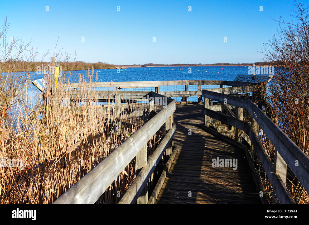 The viewpoint over Barton Broad at the end of the boardwalk on the