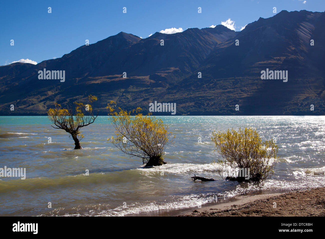 Lake Wakatipu at Glenorchy, South Island, New Zealand Stock Photo - Alamy