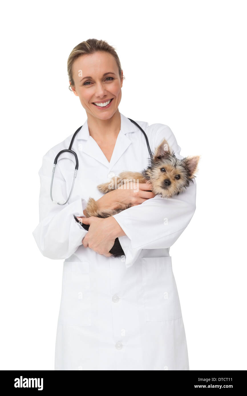 Happy vet holding yorkshire terrier puppy smiling at camera Stock Photo