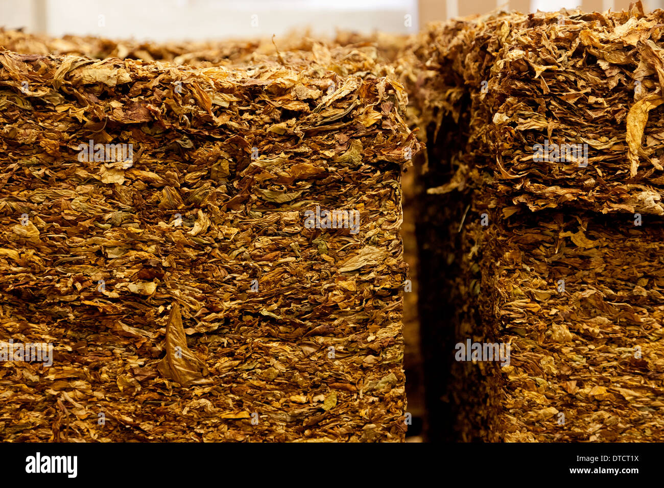 Berlin, Germany, tobacco compacts in Planta Tobacco Manufactory Stock Photo