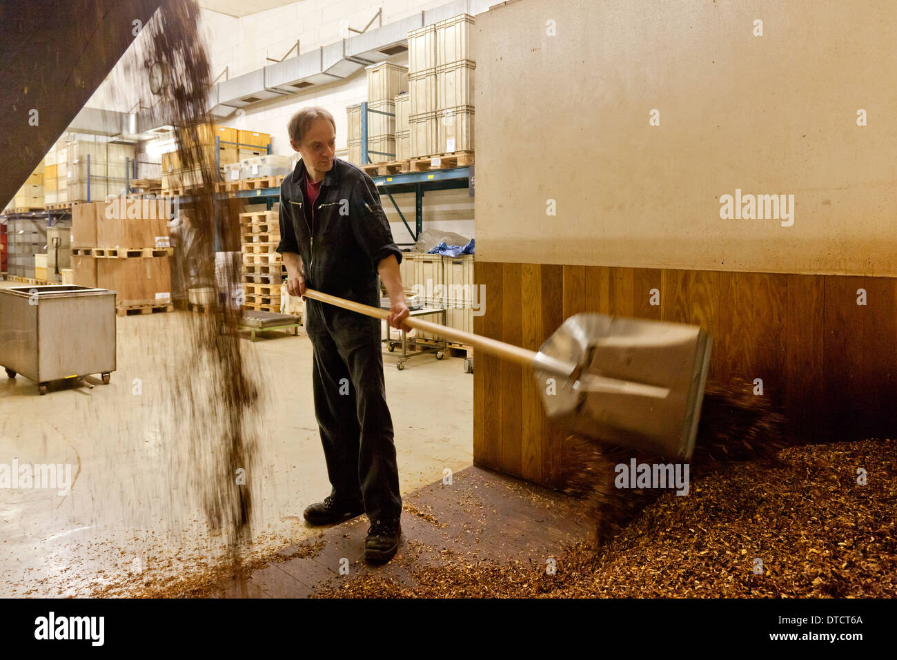 Berlin, Germany, production of tobacco in the Planta Tobacco Manufactory Stock Photo