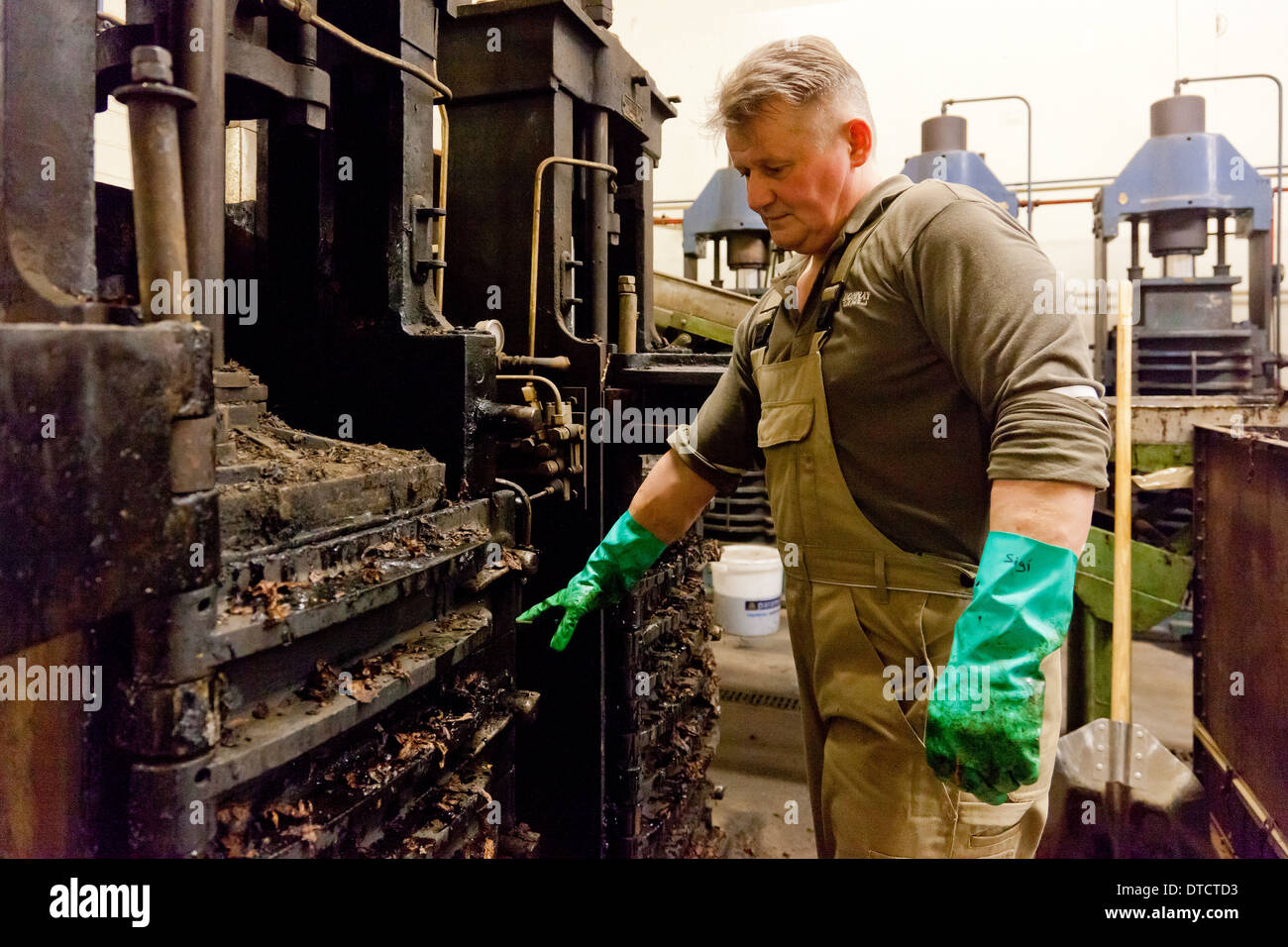 Berlin, Germany, production of tobacco in the Planta Tobacco Manufactory Stock Photo