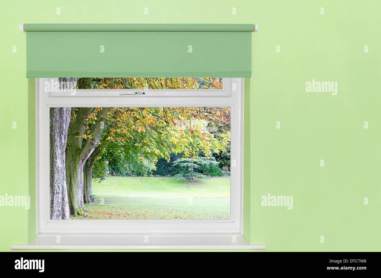 View of autumn trees from a window Stock Photo - Alamy