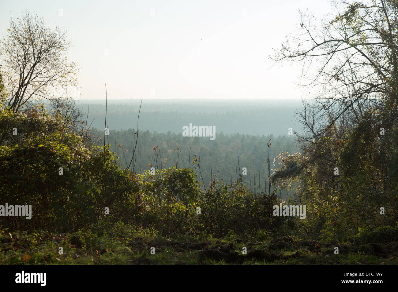 Berlin, Germany, great views of the Grunewald from Teufelsberg Stock Photo