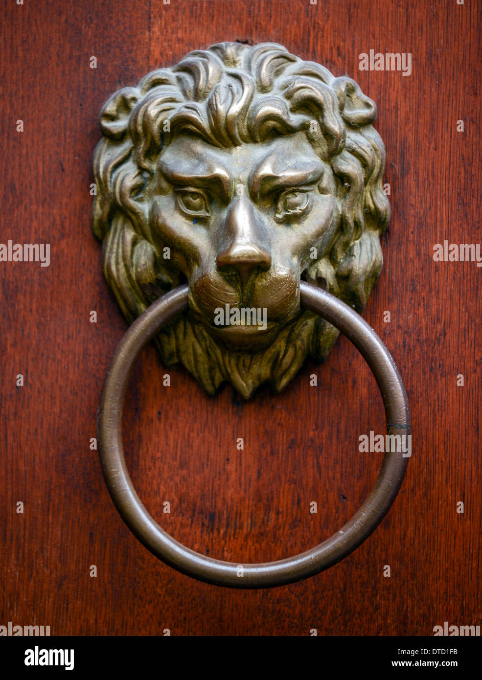 Lion door knocker on wooden door Stock Photo