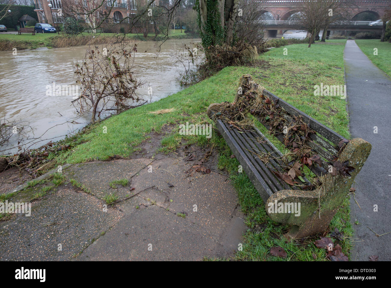 Flooding 2013. River Mole Surrey. Park bench covered in waterweed following flooding from River Mole breaking it's banks. Stock Photo